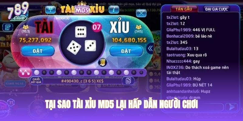 Tại sao tài xỉu MD5 lại hấp dẫn người chơi