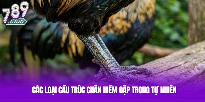 Các loại cấu trúc chân hiếm gặp trong tự nhiên Các loại cấu trúc chân hiếm gặp trong tự nhiên