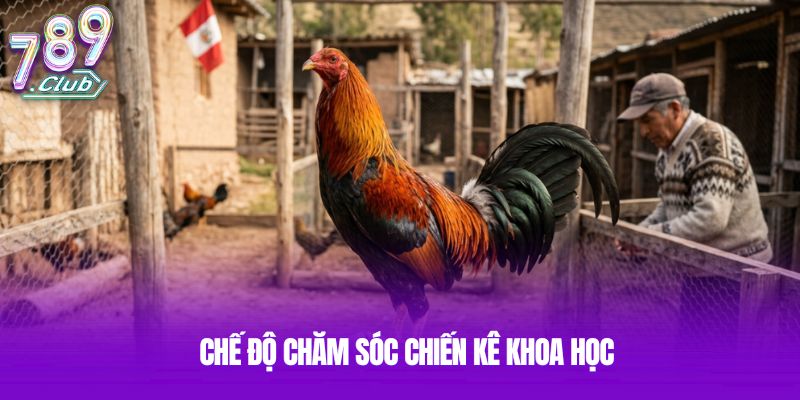 Chế độ chăm sóc chiến kê khoa học Chế độ chăm sóc chiến kê khoa học