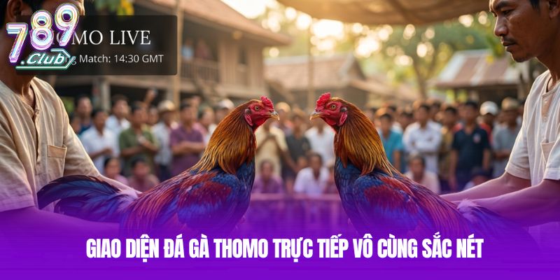 Giao diện đá gà Thomo trực tiếp vô cùng sắc nét Giao diện đá gà Thomo trực tiếp vô cùng sắc nét