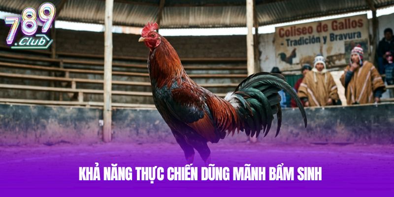Khả năng thực chiến dũng mãnh bẩm sinh Khả năng thực chiến dũng mãnh bẩm sinh