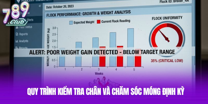Quy trình kiểm tra chân và chăm sóc móng định kỳ Quy trình kiểm tra chân và chăm sóc móng định kỳ